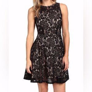 City Triangles Black Lace Fit & Flare Dress XS